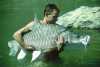 India - Mahseer - 92 lbs.jpg
