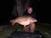 38lb 2oz