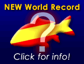 Catch a New World Record Carp in Spain