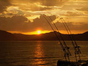 Fishing Calendar Fully Booked but There’s Always Next Year