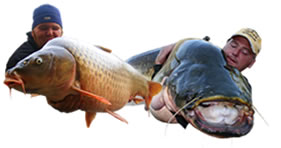 Southern Spain Big Carp Adventures, World Carp Classic and more...