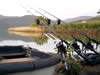 2006 Fishing Summary - Stephen Buss
